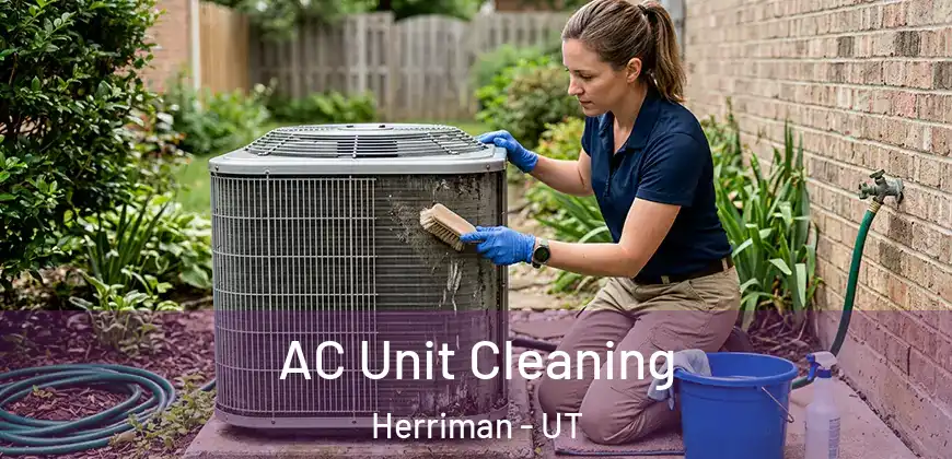  AC Unit Cleaning Herriman - UT