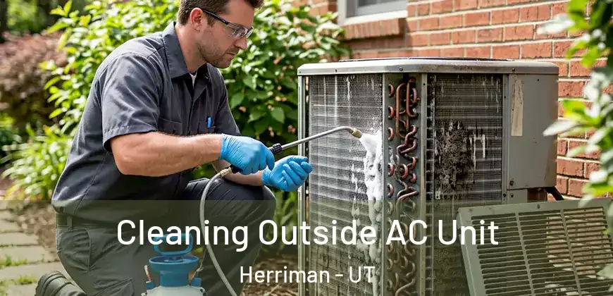 Cleaning Outside AC Unit Herriman - UT